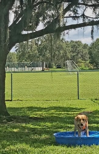 AC9h4nqcuCweQDJFYqGCY48nNUj8zLS6wSgWlVGRm1r6zJxHdgVC3YuRtgxMM 2oqRQmKcWIAInhL7CtXsYTf CxwCKWqv9qcfgrwk3Ccil2coi573Zm 7hcyHka uhATriKfDvZeGYw1600 h1000 k no