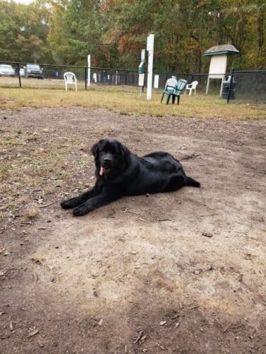 AC9h4nqczDpJ8bvWoxhNQL9leKifh Tklp Jaq LHnslwD 1JLgOmzurZyS9JaJbd1 UumlU4vnB4CPczboT4oJ8Y7k6z5U2NdrIKGlAWUgfC28Dw5Dv OhPtthp2amqys7AnHsU SCDw1600 h1000 k no