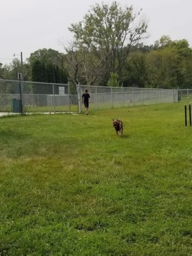 AC9h4nqczIdXjj rCfr2ge1lv eJ9YVgsfbKopmAQliq1x4p56N9ydFagyZdDcoa iyY7Iz46 Qjic9zEtoBUrNMhpDkngEmJHDbESvjIMdw7Bd9HVX3fx3skiGqSvIOUbRuZLqUGhO gw1600 h1000 k no