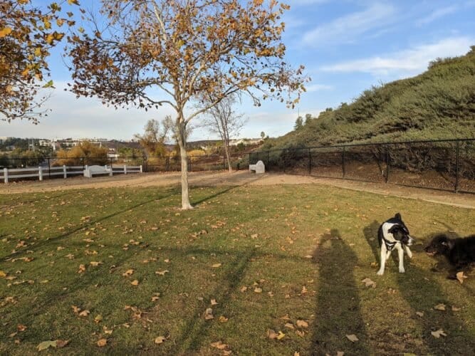 AC9h4nqd3XwAsp2ZX3RXW9UwwNystcm7 NY Mo91s2t1LFwKn Pxu8sY94xCvkN7CT3o171ltWaZLYNI6G8jpPk tb54OMULJqJX7NRTwt43kW6nbCjF1y2Uw3JFp3JQOhiEeWIaDatqw1600 h1000 k no