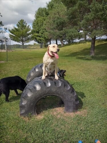 AC9h4nqd6PFlm 7c h74bDUxKgc eVOV yJPqTkFvcwoipI4ZiCk7P9uJXL3q85oRJdKSc8qpJUD20OLp 1qc210UG mWRS2Uas3sHfkHHmv6MebrX6GVAumh 4lzHS85mCwu0BigHxfw1600 h1000 k no