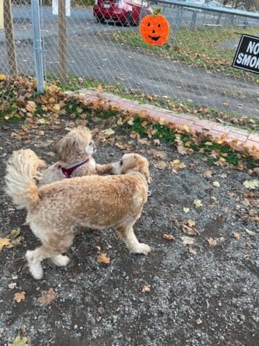 AC9h4nqd7A1krnodqn QK8k8IgSaF1Tx ffoelT3vdGYecE2Krzc8WLesqYUhIS8WvxIEbnCeJg1QETd0U3YLHEfu7l2lfc wNPX N28BlQp24vrx itbxiq3KESLIlfY2HbDyeoUedYw1600 h1000 k no