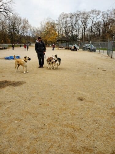 AC9h4nqdGI3pUNIz kww8XvRjqVdw24lr cS25bdC9BK2MwIuF1dFGI YmT9V7Nd4vhK hU4wQ9NnMpdETySGx7JPcDOCzZeg5QdXCFWxDY1 hlcG4596X kKCjH sB6pEi2fS FctbNmAw1600 h1000 k no