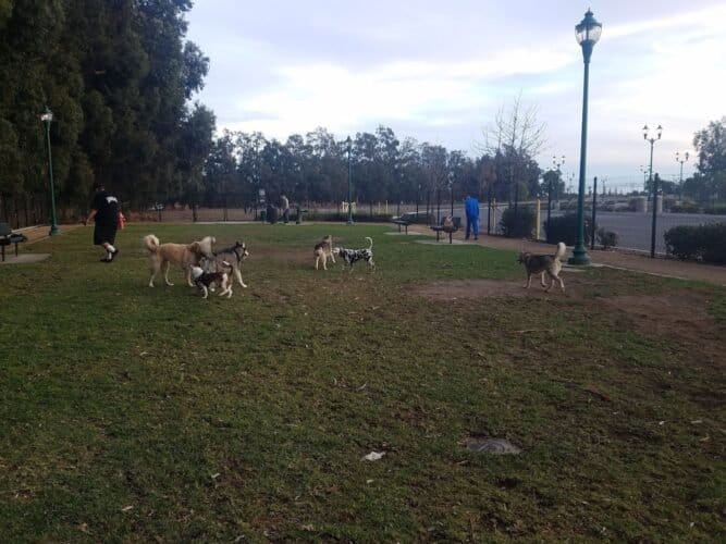 AC9h4nqdJPgRbdx741CSPPjE4oDG hvQoaKEmoDm8IS4hE7 rF6NqEBfVE6qxfmutQ1rxciSYcUXcif0V6UlEalb04QQjIs7tPLDV5iuLoBxUeZkLuHL t bUFu8R OplpijnFDN54gw1600 h1000 k no