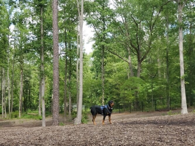 AC9h4nqdPqzwxGIjcoXuHJ ClLATbxCVqJPiHLunz7F4mFPvRz QXvckFC0sFWYn87RNsFeo831iGTpRRgpQVQQfW88w 2yR7kKTM4kugHk0 kvqynQxcIUwMNcSL CYLTiX044PjlAXEAw1600 h1000 k no