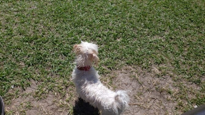 AC9h4nqdR rbhWuG6GAq5dF 9D4loOqePuBRww47f8rhW0kVEe rkJTFsLkiPMKlRDtxmWav86oZKivykld4x9G t0bABXqXTLOzL22fvjIw1600 h1000 k no