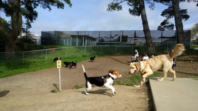 AC9h4nqdWGjXiWAMBHBTd4T2RIHoZTHRUTbjrh4MQarEMfVJfalBjlcus6U2yzXvHeOYNBDwL741j2qzJzjHgowKvG8u1yZISWUYr6RQ9Tsw1600 h1000 k no