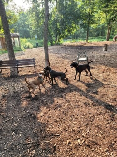 AC9h4nqddGiRx YEKqIwQQB9MrzXaMdRnNlIEux1bCyhIlbbzh9k gYrIhA8wcR3h2UpmmLTzDtsMbhhnmJmYuEPHt6e9cypPKJItOe 8lJeYnBd2IggQbCdx1x1oU l hC1LBptL6Uw1600 h1000 k no