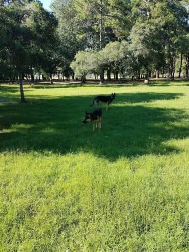 AC9h4nqdn6J Yf9dNpqhuDIMvhFp3oUbzPgOHqJpjdPJKjdS32HH32pthHybe6L9ajZnruLOLTnzUT0b17k5mEE2YqPc0I8qELbqRFGB iYUB11Cc6MJMXI4VXWwcR3oQ W9MkmxjjYw1600 h1000 k no