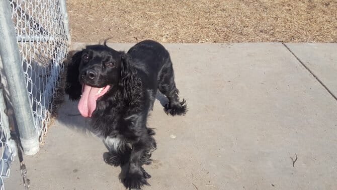 AC9h4nqdpz hryK JVAQCfZoPUfDLOud18SdNoOP1GVXmjN4 OJRGzZeGiseLyzVrTGlZuANHUr0ctkyazCAfExAOMZ9fZgfxS9DBe3sO7gY3yZ A0hDuV7B4kXuALMBsCNWUdA2N Lw1600 h1000 k no