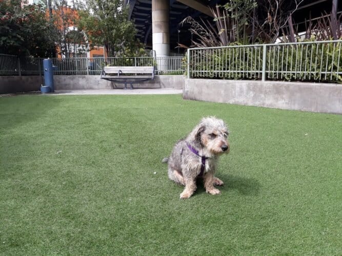 AC9h4nqdykR 3tkuYuFDHVVtYjBzIQ5UgcP qSOyzjzJMOSJkY gTmsV9efgJ28EUBh2 IPLCfsn0jlMTFGu8Wm9bAmF X0HGK5KP0fUU7cPrGoTIn7Xwj zqJTiXqVUGXx 6RUHzpqw1600 h1000 k no