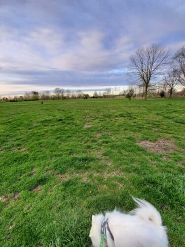 AC9h4nqeEvBiInMDQK FX fRItQgaJljnCygZyht4p 0LZ5sZ3hCqM9j NYdlDiI6frb2uQIbLSJe mAQCAw56oUdt3xZUt Ppi0O lpHKgbBNSJ4f5FU t3qs5lv23PvohpkzaUDacv3gw1600 h1000 k no