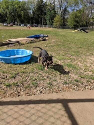 AC9h4nqeLjXQ8vxhPxG7bG2JNP EHseZkWeeaxl QljCjL7Y8N1fTLLcLB8 ra ocI8ej Dqi5AS2UYHY0zyRj6v9oxbUxd3LhCL1nk YghdvA2p6cm9sPCzXJwRtufaYUZzY4zcI5fMw1600 h1000 k no