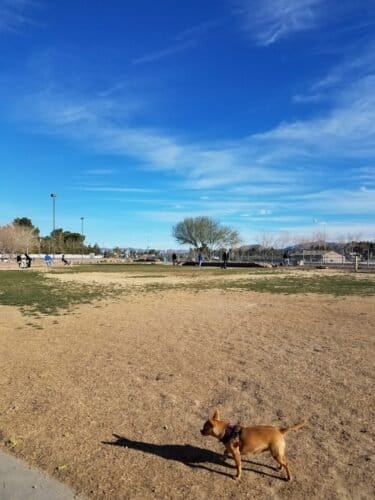 AC9h4nqeQU6C01VbdW0J pUNAMxHGhNYlJj0mbmis9iylPGIxSAb8efnmu3VoFQP9kQdCOFnUgjaTCdAIae cp3yZV626kC8zDVVWijJf nKeGlG4fyi 8O7cq6uZYasuoZv46Q3mliCw1600 h1000 k no