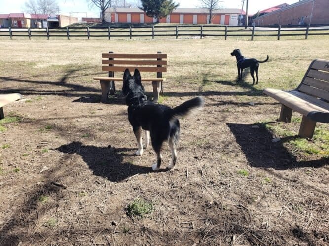 AC9h4nqeVUlq9ARiZ7us3ERNb yU4VM4 MkXsh0jfL2OatArefO9PU58QBBuJ2Am SSGYf 3TETYtmurRfZsbRFQNE7qXCGGFKcj8CbiFyjdGNaaMoI8mSOW1KvENGX4a8Qqe0QogG7Ow1600 h1000 k no