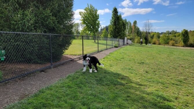 AC9h4nqeZ7aUFSavqymGo6Xi1wtQoFhS5XJGDsvbdNfJTiGDx031mntg 9jtmHc1UvrWbP l vzZIRpnqwR2ANNlb8u5dWLI0v4slCapNQw1600 h1000 k no