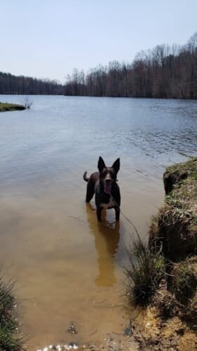 AC9h4nqeoje3ueLAjxLU4lHKfWrcvRYGZeD0WGfrbZy6fdCxyrUyTkBUf4Y4CtzWS1PCTR3MkE27eTWhPEgrNh9naQtxpfy85 W4PJI817m6DMxQAcATmqNHuGhS XMNKERgxHBQrK4w1600 h1000 k no