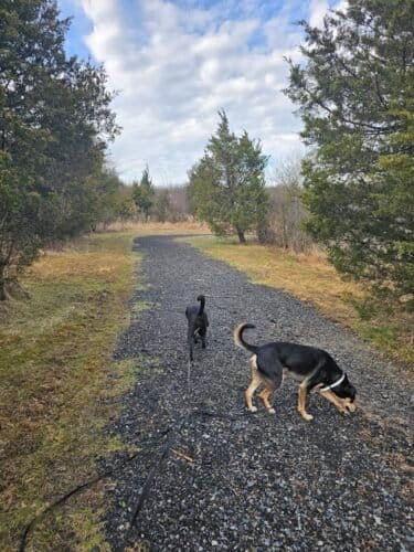 AC9h4nqer2j5TMBLk4L4clzKrU3GlxbBTazOEGRDcFudp2ovHsILMYVtp xz3LlwEMDo7aAl5O63z6BG2 T3MaT7mSD EqPLncZmlQXz7LAryoQKm M9ricNLFAwYXPkD66hQP cVn4lwkkciuSkw1600 h1000 k no