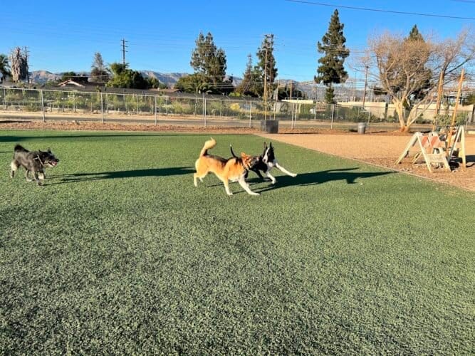 AC9h4nqerCTUHjyuJH12Tc9eKvoALD8 5iXIpG9I1YDl7PIQRz98tfD0 7 pEUj6aKsqmOWKx2h1YCKPbq4lt2fwdsaoZFPILI6e0dQ3sIfOsDqA8c7501lGolLVTvIWL9iVsK6BYRL1w1600 h1000 k no