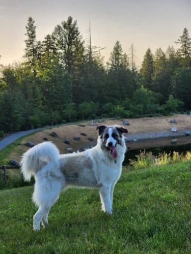 AC9h4nqeus99RE8w iAC9UxDrtcRec7Z5qMbDKPDsphfJUJIBPLF70UGCessWkmE0949tsGjUPR5pnvRI1qVcHdGFN5Z7ZvN Q3GAdg72RY5fMmOwUE1ML LdqseOY1VbIHk9pNcTMWrw1600 h1000 k no