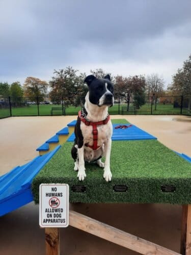 AC9h4nqfK0jDw7kRCvpKbAGNpwevGMWTLe fLAHTSyj1 rw8J6We c2MnTt 6PxcoTyuT5DC5GODGbFKq4WdLU6yyRQ A1TVNiMKDRES713lcEEFPuSuA0zFiLZ HmVM42inXTCzezGbPww1600 h1000 k no