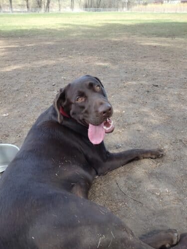 AC9h4nqfOitU2EQcx NM3x6nP0InYcWDF9 xjcGXF7NUyY2HmGQFWUjqas4Db CuaGeNisA8cNs8wJ88LDYTIDokaeoZHd2jyuvdtCMPcHQlBt3iZiTXl0M Jh c7 lMCXdXfZA3Rk54w1600 h1000 k no