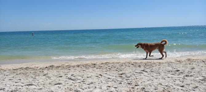 AC9h4nqfTSSwCl P3qUZjBtV98X8z Ez NLnrtw8AfgWJADZ7sNyso6UpQoFIu8HJ87ctp8oxdH2VTxrMPLPBYGBnr0XnW1L2I  BjqB0PTxYNF3LGfJzeaLUjeQMNho1bs0aKAT2QcMEAw1600 h1000 k no