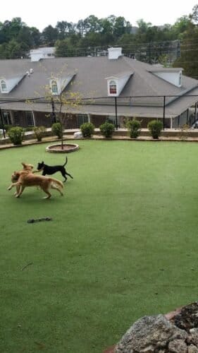 AC9h4nqfW2V8TJTzbx652IrtGFcNbGWEDD5zRj8tou6MZn82zQixx7Jb94k9G 6oti8B7W4vd0RvVGt44TqZ l6Aogf0BxZb3nLJLZenrZVhEeK9WYl1WwX47aaGXW41bVDlDGjQebfWw1600 h1000 k no