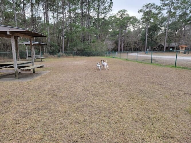 AC9h4nqfcoQ8vgXiZOgF60hsePIbnFrSDaiYeKqodcknbhLN4qrSgwdTt1yfM5hpsbbuq4fzFXQfZQWhAJtNoirAq91vBE4COGuQiTd2I3cywjF6t95j5A5mbCsRenU7XCUqULqgC UInQw1600 h1000 k no