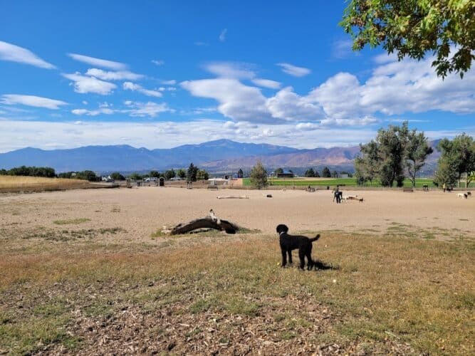 AC9h4nqfdRyVafs2XwvaC AfS3j4UmVN7NKtXWQxh501DtW5RMTu sO0bKWBnnDM2TfNfR6LN0rKmPbL5ASzTZVYcWPy59gxqqxtFn9PaBGsuL3Cvs 2njXMG17QD2Ys1IGyRpcSyo3gw1600 h1000 k no