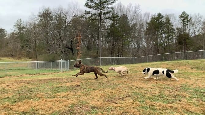 AC9h4nqfe pUJlMcgBDgXmIpLNGI0LzzQSTz9Wykzb0EBJHhLMn3oeQ0DF8pB6g6eEnj6if0urreVtJv7wUvF6QVohM6ZH RDf12W7KszmbHr9vHpCvNlW6Zk0nkvaM6Hy eu3Fu 4 2w1600 h1000 k no