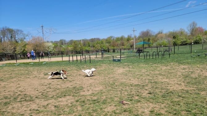 AC9h4nqffRTQz9h1i8COS J3Q UaQ pAjQ9MP2eV8DLbx8Nuz7yywwWAxZf0gOVTKKge1NDGmnGSf5Fdfb9ZAMC20a1tKxUx9JpSyCCVGnTCLtkf 6QMQPdW0KKbovNYyUrk6FdQX iyTQw1600 h1000 k no