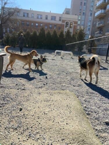 AC9h4nqfqJBe1EvL8AhD7Hj2xCGQHBdNsU9pYLDOkX7APyhrg3WeeB0uJEo0KPyxRzH4Jtg69qWp1LOlc51GvVBx3dMRIa3Yyu0s2MM OVdognoTaInpgAiYI7vI2CeJBy5c6EBQwWEhxww1600 h1000 k no