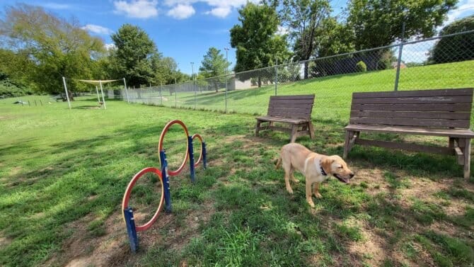 AC9h4nqgG5smHLjFuFnjxPa1J nOWILQ7kcMrWt07Oh6z Js8G0hhrJBqFbDns03eoRa5HVD6Q5jFL60Igvb3xXl dtOcQ74TiGkdtrHIML7LrMThmrNGR ZBQXg1FbKvBdgSY8ihdGxw1600 h1000 k no