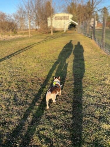 AC9h4nqgSuf9AE3PgieNXComAMt3kXt IDqwyxq7G6npqjnWx5IHwQ53EcaGOiIZttiWZp8mE8ppf2hJiTUo5Pptf2o4GHhpIezw tUow1600 h1000 k no