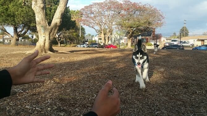 AC9h4nqgXru6RL5S98oXNKK2JolOC26z366apafgQYuK7rKb705 Vn R3i7GniSyvXVEkzZRy4fV4Pfhaa82uvnwQfZWVR1 kBuWpCxQAlKJNKLPsghh  qkTn4MENX7KQYHWos6JIMw1600 h1000 k no