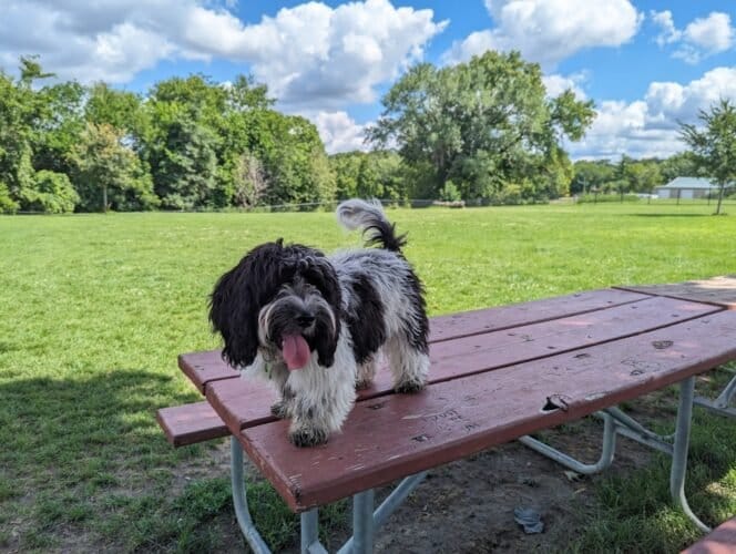 AC9h4nqgeHjDTdwaLt39IE5l KyGPPiUf9UiHfy5kQqA6z hEAflGxji1auEJV3ZLTJTusIxrnW5zl1Lt0BMk7XWwnIXUvzWE1onjTkwRAw1600 h1000 k no