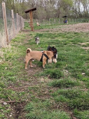 AC9h4nqgvfEXjkvHFdQdZj 4iDv9g9puaCF4vm9JqL94daot1COmYJu9LbhZ5w 8CVgvqsDnS3iV2wKqDkCZX YNaSiiPlXUQV3UOO4kVpxQBUcB mNYGDPQv2Yi4V1xRfKNEZFaH7LIw1600 h1000 k no