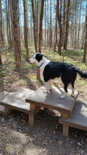 AC9h4nqh0wA0SKHomyeiHIsgJ8mc5us4kp59 EmuCj Ncu7 YQudTr07c y6HLWUacuUcFaOk5aV2n QCJqHY3cuIwuy6dmSLgFfJFMO45BhYFQG8eJDcTBxWroZS8BB7ZbSocRXGDBCgw1600 h1000 k no