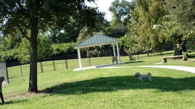 AC9h4nqhBJnhPQiWeRQiPBzAFwtSkK9PuPVzaNXQWs0R4y9xf04fMwktXSUDMiS4WpIjpd dOqcfYcaQgBClO  Levo3911GfYSCfQ2Ri5dBpqfh77Fk53lP1QjLfxieDmfXsF iO0P2w1600 h1000 k no