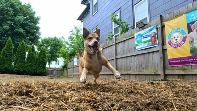 AC9h4nqhDGK tXXeqhQSw1EBMBCqOV7ctOk6UaoUFpr03fJpPGv36UTJ NNTSHnqTG3RYfmuKul71AIX8CX2OTmEKCBcEdybqSJfLYQBDIoeawjFC4BBo3IVh6z9nfdxXHez5OMwrB 9w1600 h1000 k no