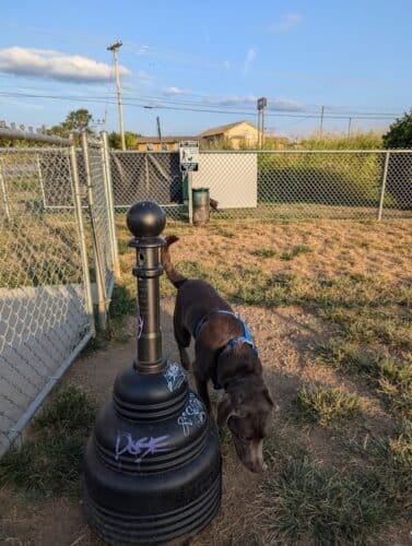 AC9h4nqhNuiypkUe3JCZLBuqMqxet1InOwAmNgcRosRgFgq1TgbYEx2KNrTAOro94MFPyJ3 Kp6UzgXWf1 wuDBv l2ftaaoXYMEpUh8hRyPyfjdIZlfE ivwncjeP70czAWbyyXzTZTw1600 h1000 k no