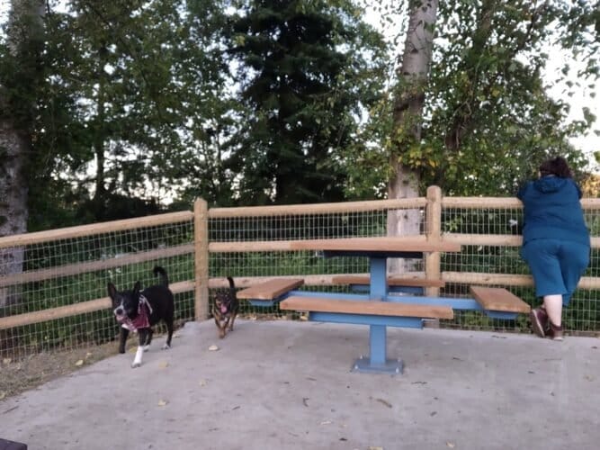 AC9h4nqh C6jGcFIwQUXM1w7yvfbuylMTGjAWSW E xRy i4McIH7js1iTCm OiHK6ZLdKjwNhFaQGnME3T056tgZKghzbSehTPo6bbEFMMpLOVwpiNh8b N pqpNDYI y L0XDBBvW5Oww1600 h1000 k no