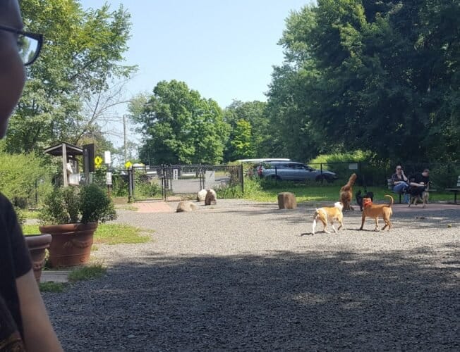 AC9h4nqh drdZn0nb4uwNUtD8dGJEeorMkNUAiizajtF0ghNKPAu8 QC1SNcGHQPmX7pO5LrDeHi4Hjg9lUj2CJL9mZB41Md0HM rpPzfJcYxG7z6T55nCaF5ySlzd1kL2NKq w8Qg3Jw1600 h1000 k no