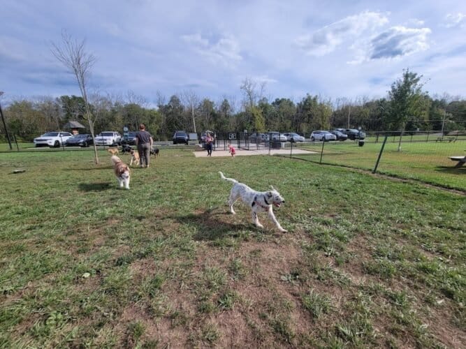 AC9h4nqhbWI8RDZLE FrA8eH68No1VT2cJ2XkcoUH5aHo6J6j2SPYQIluzII4Igx2i jJTI6S 5krFQ LgYO4YqHK4HMjYvSCsh8U7po7XeiaIjvGYtvn gkWpMoWk3OxkVTMP2ZXE4KOAw1600 h1000 k no