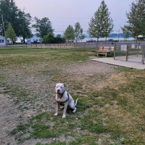 AC9h4nqheCIc45jz b9lINYLd4WsPdI7MVOZWukzwrxNSdSA J9GFb 2yGW5lVGjOau4ya4By Bt6Jfvx4kbIKgOy7v2l 7DTwxvhxkR1lnXe IK2Y9yg1hZ87YQSfGeIHHBhjeMQWBmw1600 h1000 k no