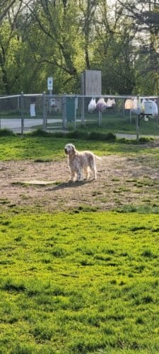 AC9h4nqhi1Vn 5lN7F1zL5x47jKsWFWYlJJvhiThjjkXnXJwxyZNhQnMOpNdlzVjkf75fwdV0c928xHOul2i2389nlGVDkFCVtQU0h3 Fi4w1600 h1000 k no