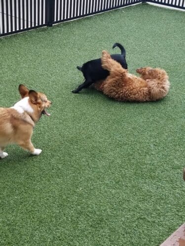 AC9h4nqhimH CioWENTQLsfFhjK0RZgDrpE B58foc6vUySzlm6 P3vcLFfhQ52dLmU9iOBrxdXW56ypWF9DIq8yOH 8HaMnLxMPHBWmdww1600 h1000 k no