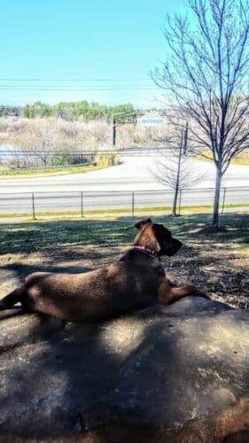 AC9h4nqhjxXod7Z5dtoKCBk6R4QzRTItMuS2V7i5DjjCYYTuagqFA1Uh03tpDLZVPnCdjSYz4WocmGnFSlTA197eixGWl546Gl9kHQSyw1600 h1000 k no