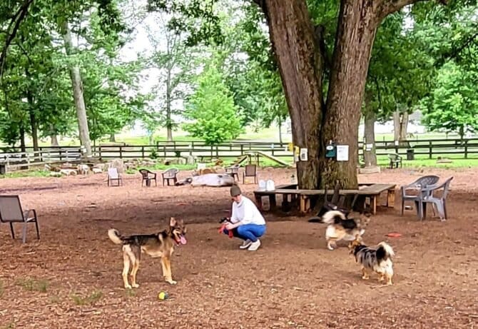 AC9h4nqhn2QaGRHjzKieMnLOIHmsD77Vw FYbXFOHP vdP37Mm BKcUpf6ifa7dUIgHz2jEVTw7cAK YcaqII1003a0OH85GYrLdsFq2a g2s 2LJ0s0FDFMLtWjG0sp7A6IF2c7BgZhw1600 h1000 k no